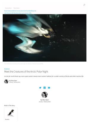 Meet the Creatures of the Arctic Polar Night | Audubon