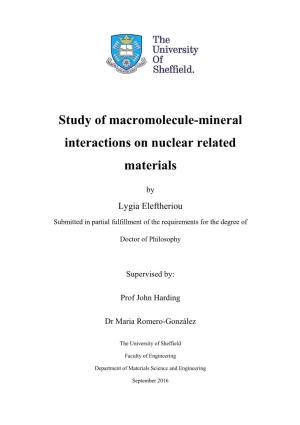 Study of Macromolecule-Mineral Interactions on Nuclear Related Materials
