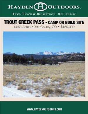 TROUT CREEK PASS - CAMP OR BUILD SITE 14.63 Acres • Park County, CO • $150,000