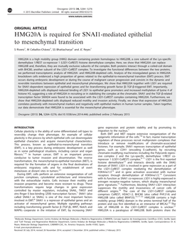 HMG20A Is Required for SNAI1-Mediated Epithelial to Mesenchymal Transition