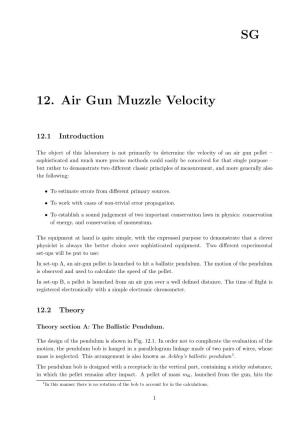 12. Air Gun Muzzle Velocity SG