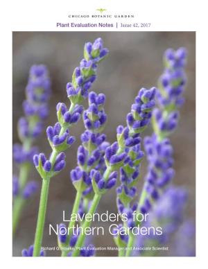 Lavenders for Northern Gardens