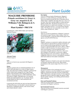 Plant Guide for Maguire's Primrose