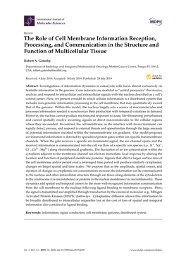 The Role of Cell Membrane Information Reception, Processing, and Communication in the Structure and Function of Multicellular Tissue