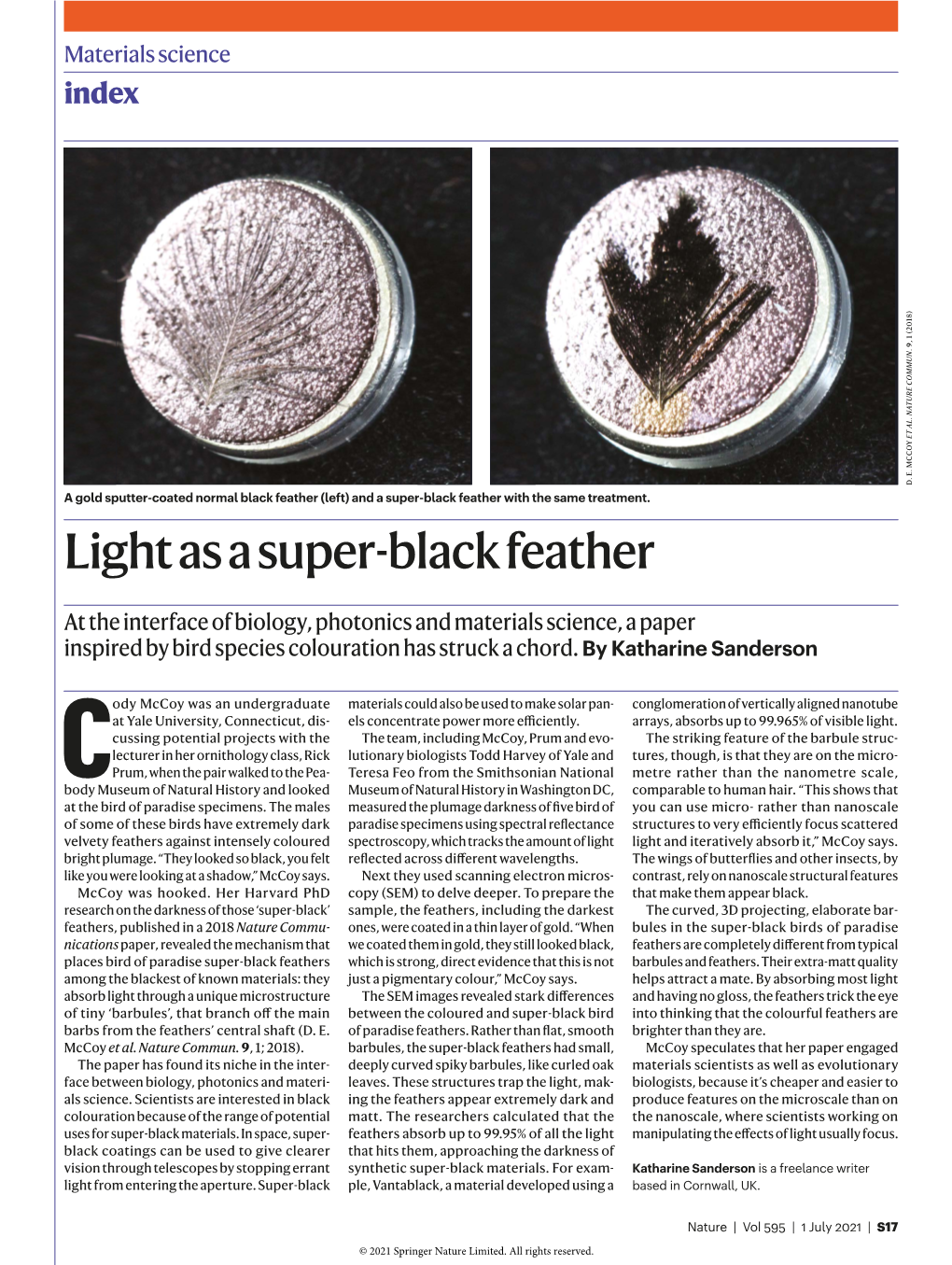 Light As a Super-Black Feather