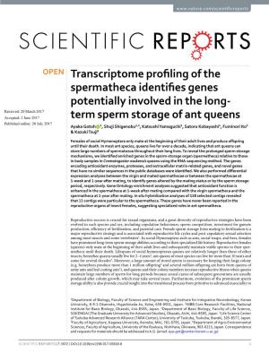 Transcriptome Profiling of the Spermatheca Identifies Genes Potentially Involved in the Long-Term Sperm Storage of Ant Queens