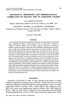 Mechanical Properties and Morphological Correlates of Fragile Skin in Gekkonid Lizards