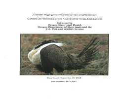 Greater Sage-Grouse (Centrocercus Urophasianus)