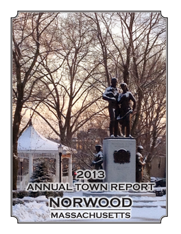 Norwood-2013.Pdf (6.959Mb)