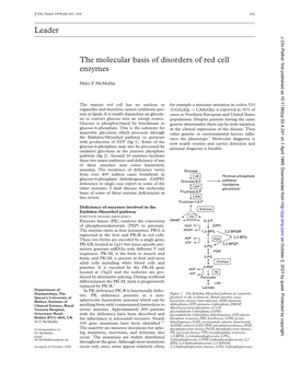 Leader the Molecular Basis of Disorders of Red Cell Enzymes
