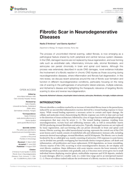 Fibrotic Scar in Neurodegenerative Diseases