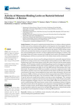 Activity of Mannose-Binding Lectin on Bacterial-Infected Chickens—A Review