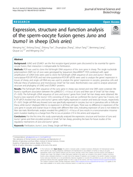 Expression, Structure and Function Analysis of the Sperm-Oocyte Fusion