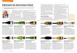 PREMIUM SPANISH FIZZ in Parallel, Another Appellation Also Decided to Adopt on the Other Hand, It Is a Gift for the Wine Lover