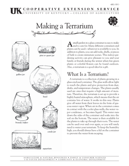 4BE-15PO: Making a Terrarium