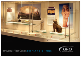 Universal Fiber Optics DISPLAY LIGHTING a Light at the Museum