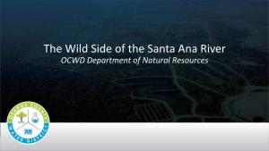The Wild Side of the Santa Ana River OCWD Department of Natural Resources Outline