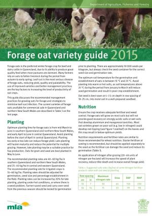 Forage Oat Variety Guide 2015 Forage Oats Is the Preferred Winter Forage Crop for Beef and Prior to Planting