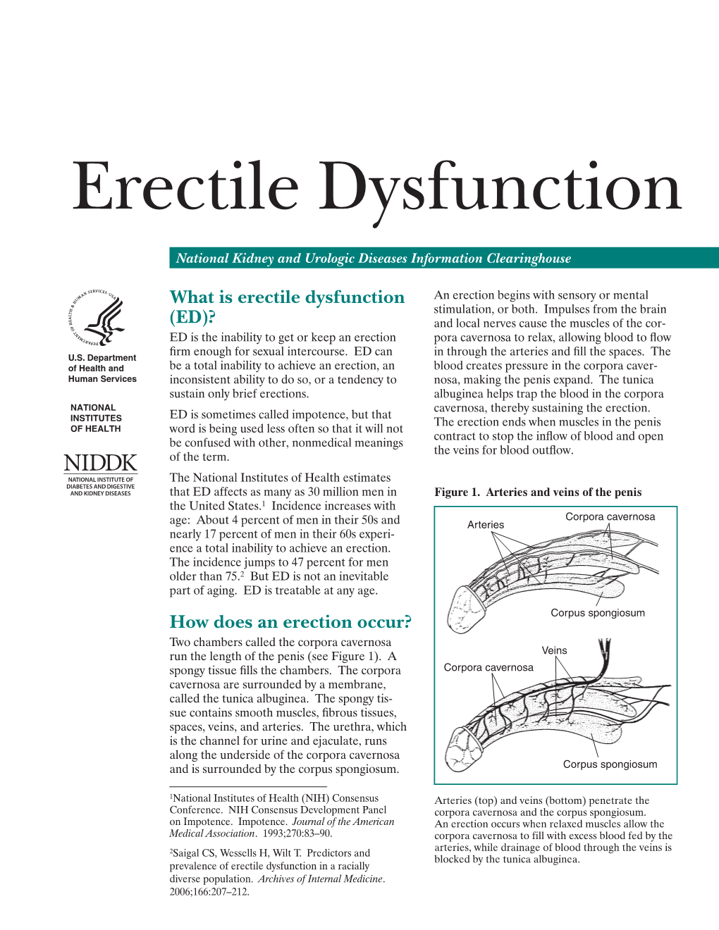 Erectile Dysfunction