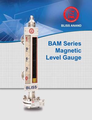BAM Series Magnetic Level Gauge