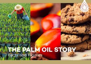 Brochure the Palm Oil Story