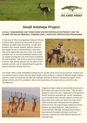 Small Antelope Project