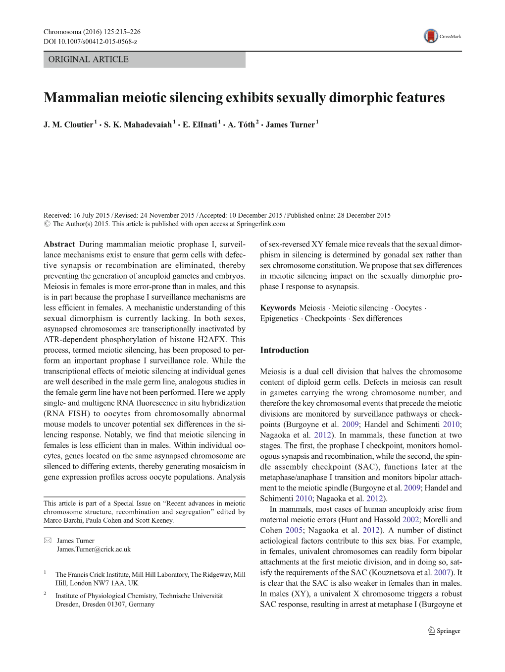 Mammalian Meiotic Silencing Exhibits Sexually Dimorphic Features