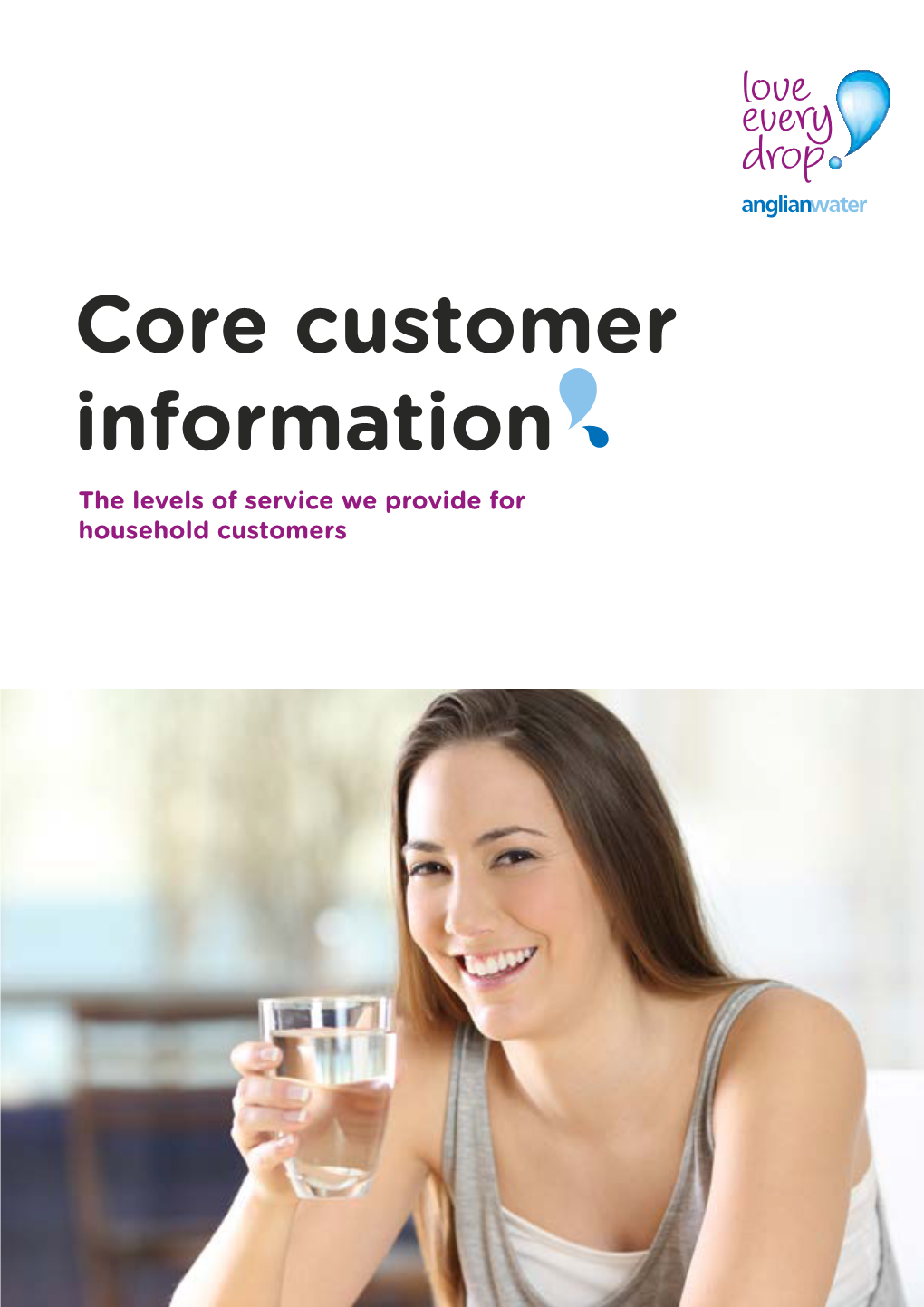 Core Customer Information the Levels of Service We Provide for Household Customers Core Customer Information