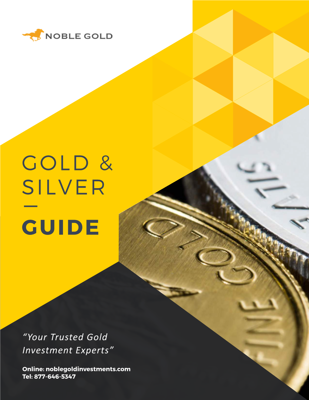Gold & Silver Guide