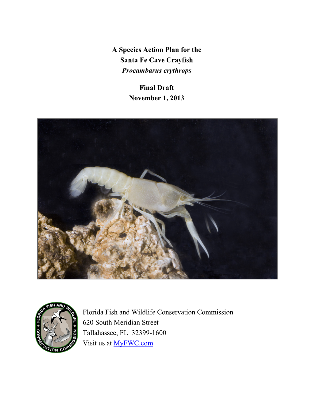 A Species Action Plan for the Santa Fe Cave Crayfish Procambarus Erythrops