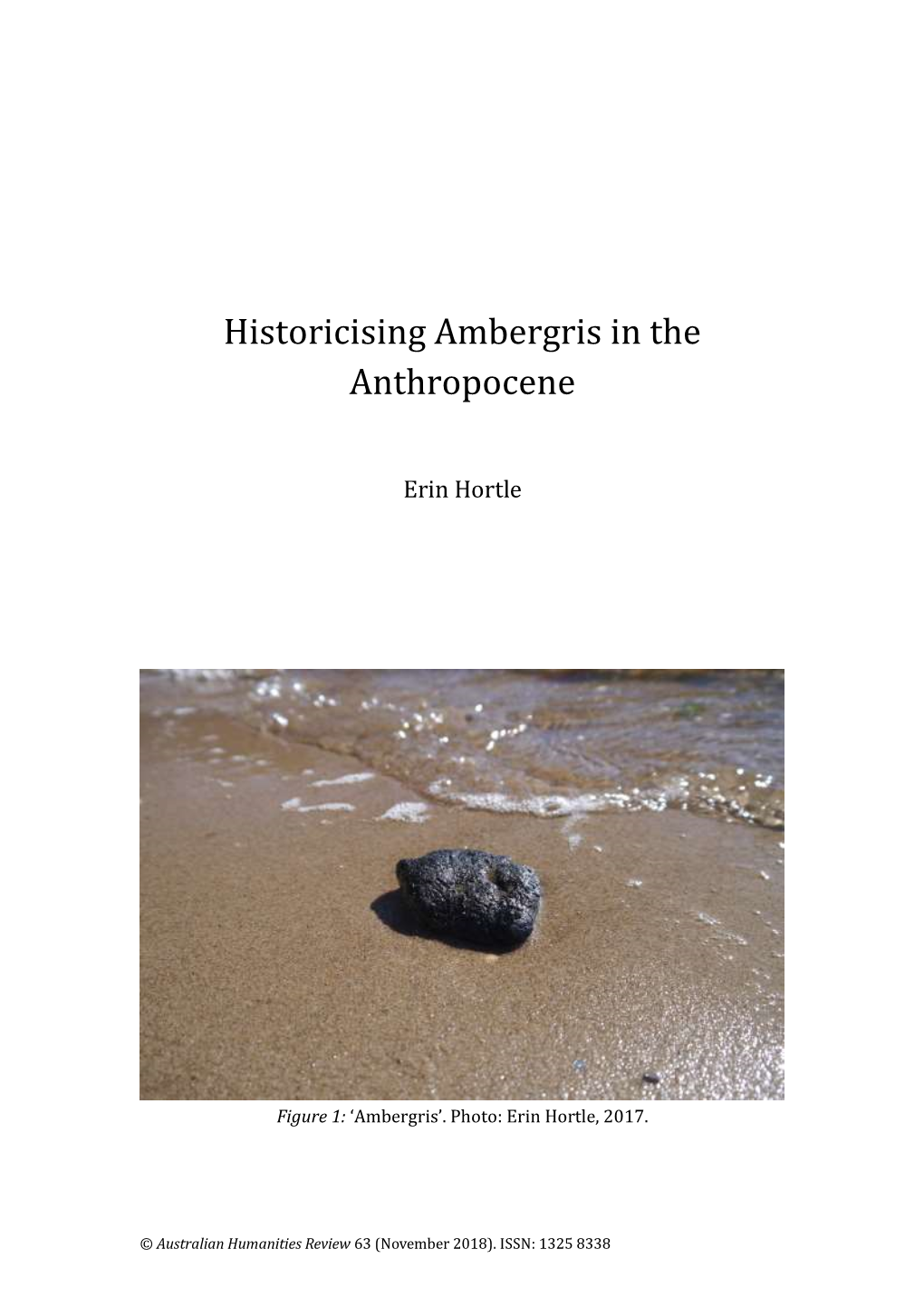 Historicising Ambergris in the Anthropocene