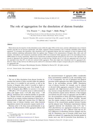 The Role of Aggregation for the Dissolution of Diatom Frustules