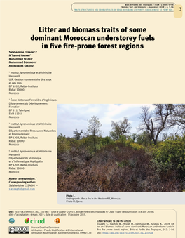 Litter and Biomass Traits of Some Dominant Moroccan Understorey