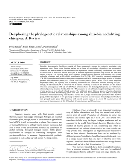 Deciphering the Phylogenetic Relationships Among Rhizobia Nodulating