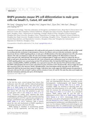 BMP4 Promotes Mouse Ips Cell Differentiation to Male Germ Cells Via Smad1/5, Gata4, Id1 and Id2