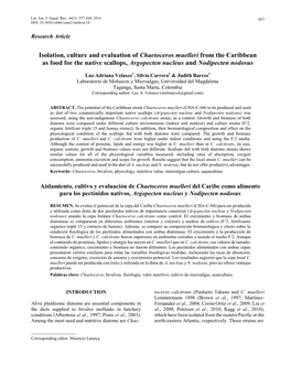 Isolation, Culture and Evaluation of Chaetoceros Muelleri from the Caribbean As Food for the Native Scallops, Argopecten Nucleus and Nodipecten Nodosus