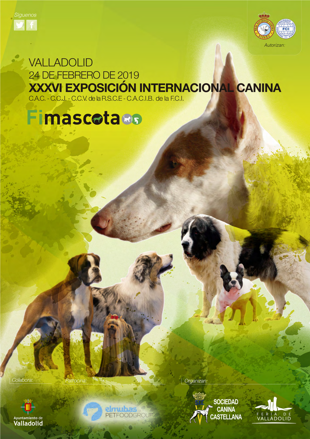 Catalogo CACIB Valladolid 2019