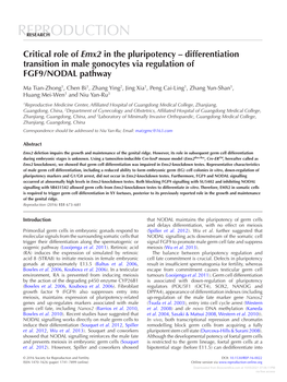 Critical Role of Emx2 in the Pluripotency – Differentiation Transition in Male Gonocytes Via Regulation of FGF9/NODAL Pathway