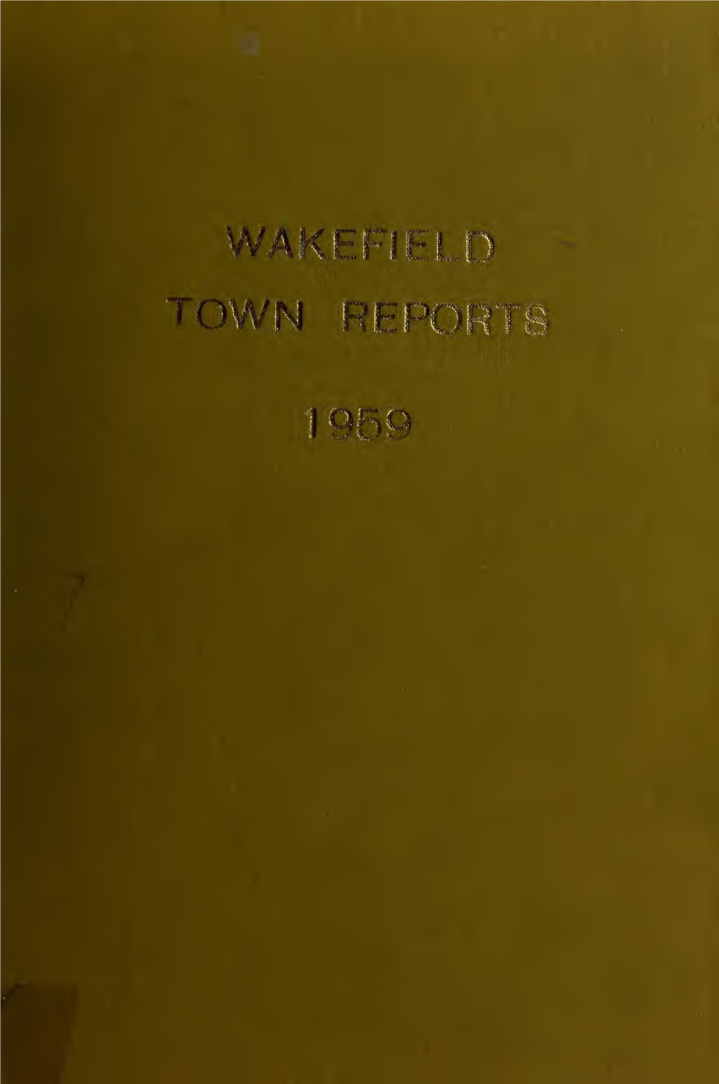 Annual Report of the Town Officers of Wakefield Massachusetts