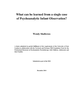What Can Be Learned from a Single Case of Psychoanalytic Infant Observation?