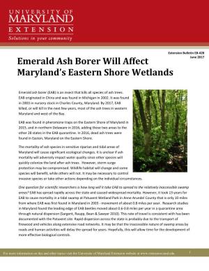 Emerald Ash Borer Will Affect Maryland's Eastern Shore Wetlands