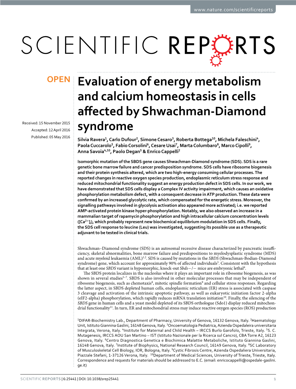Evaluation of Energy Metabolism and Calcium Homeostasis in Cells