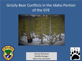 IDFG: Grizzly Bear Conflicts in the Idaho Portion of The