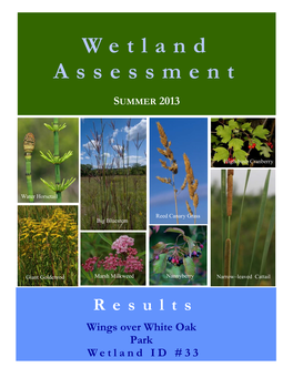 Wetland Assessment Data Collected for One of Those Sites