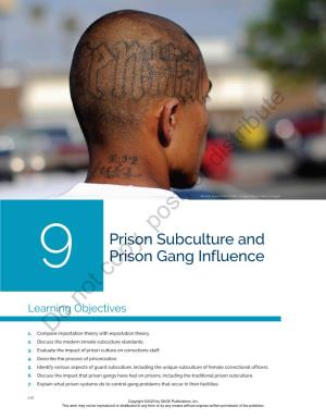 Chapter 9: Prison Subculture and Prison Gang Influence