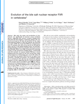 Evolution of the Bile Salt Nuclear Receptor FXR in Vertebrates