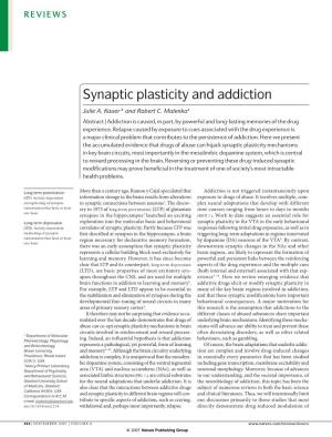 Synaptic Plasticity and Addiction 2007