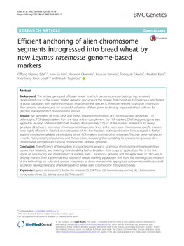 Efficient Anchoring of Alien Chromosome Segments