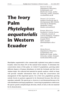 The Ivory Palm Phytelephas Aequatorialis in Western Ecuador