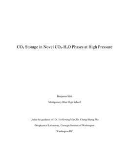 CO2 Storage in Novel CO2-H2O Phases at High Pressure